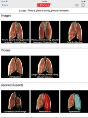 lungs - digital anatomy ipad images 3
