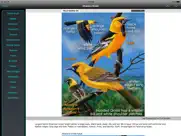 ibird yard+ guide to birds ipad images 2