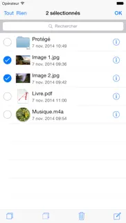 usb disk pro pour iphone iPhone Captures Décran 4