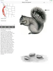 mammals of north america lite ipad images 3