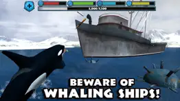 orca simulator iphone images 2