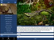 reptile id - uk field guide ipad images 4