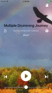shamanic journey drumming - frauke rotwein iphone images 1