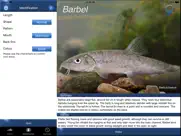 fish id - freshwater fish uk ipad images 3