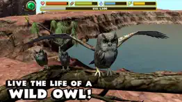 owl simulator iphone resimleri 1
