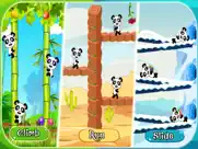 hit the panda - knockdown game ipad images 1