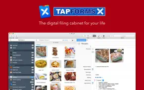 tap forms organizer 5 database iphone resimleri 2