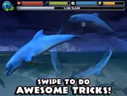 dolphin simulator ipad resimleri 3