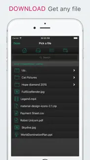 file getter free iphone images 1