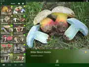 mushroom guide british isles ipad images 4