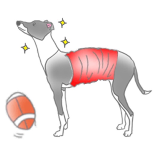 Italian Greyhound Dog IggyMoji app reviews download
