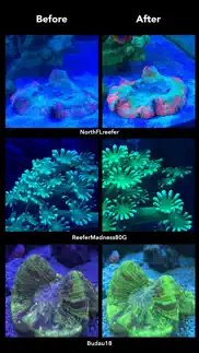 aquarium camera iphone images 4