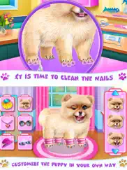 pomeranian puppy day care ipad images 4