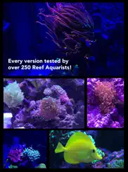 aquarium camera iPad Captures Décran 3