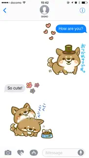 japanese shiba-inu with you iphone images 1
