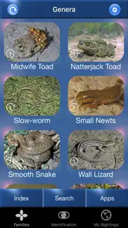 reptile id - uk field guide iphone images 1