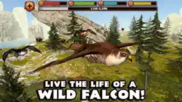 falcon simulator iphone images 1