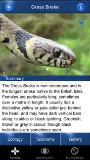 reptile id - uk field guide iphone images 2