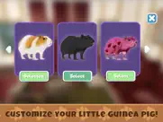 guinea pig simulator game ipad images 4