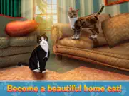 house cat city survival sim ipad images 1