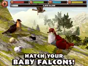 falcon simulator ipad images 2