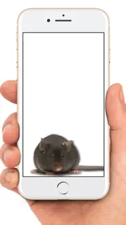 mouse on screen scary joke iphone images 1