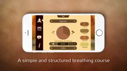 universal breathing - pranayama lite iphone images 2