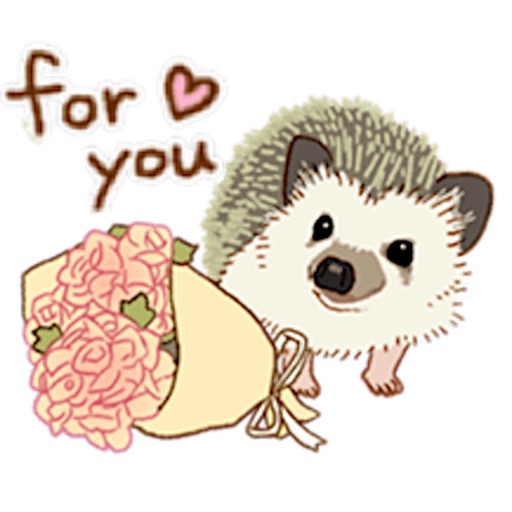 Shy And Cute Hedgehogs Sticker app reviews download