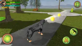 rottweiler dog life simulator iphone images 4