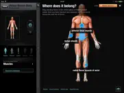 virtual human body iPad Captures Décran 1