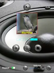 birds mimic ipad images 4