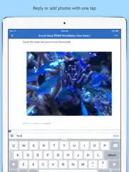 singapore reef club forum ipad capturas de pantalla 3