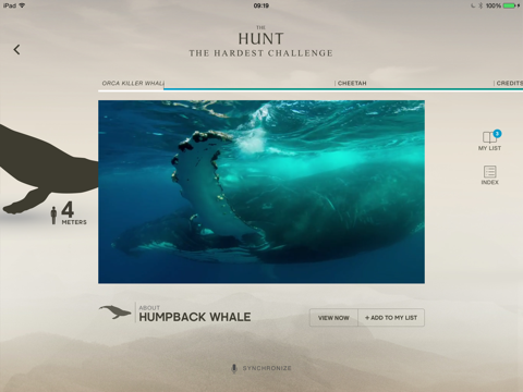 the hunt - bbc earth - natural history interactive tv series ipad images 2