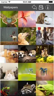 wallpaper collection animals edition iphone images 4