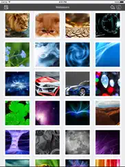 wallpapers collection premium ipad images 1