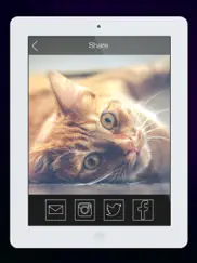 live filter cam-overlay effect ipad images 4