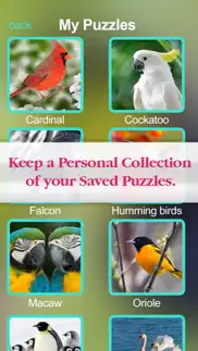 puzzles amazing jigsaw birds collection pro iphone images 3