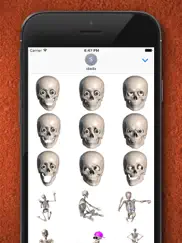 skelly stickers: skulls and skeletons айпад изображения 2