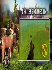 the deer bow hunting-real jungle archery challenge ipad images 4