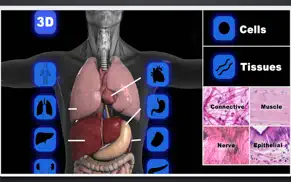 anatomy 3d organs iphone resimleri 1