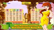bingo master deluxe casino - hd free iphone images 3