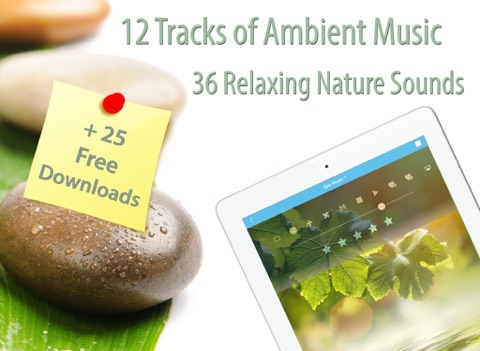 spa music for relaxation and massage therapy iPad Captures Décran 2