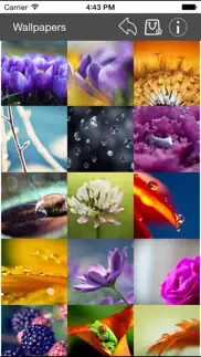 wallpaper collection macro edition iphone images 4