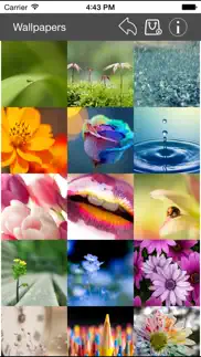 wallpaper collection macro edition iphone images 2