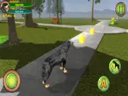 rottweiler dog life simulator ipad images 4