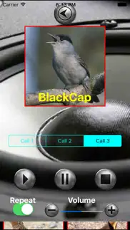 birds mimic iphone images 4