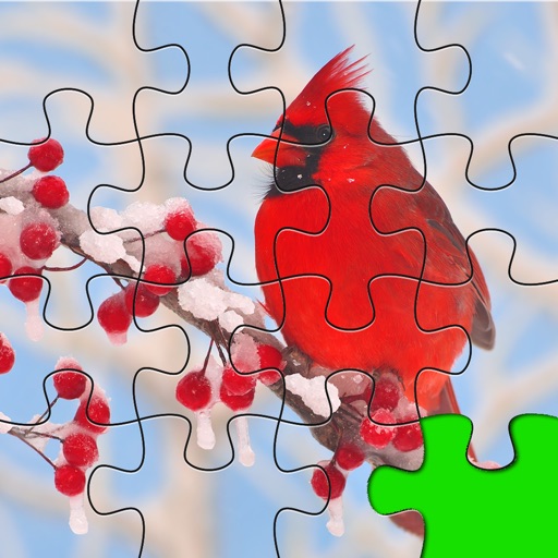 Puzzles Amazing Jigsaw Birds Collection Pro app reviews download