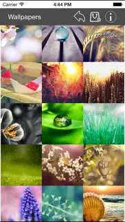 wallpaper collection macro edition iphone images 3
