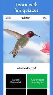 smart bird id iphone images 2