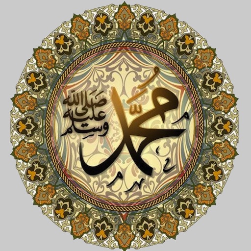 Hadith Collection - Ultimate app reviews download